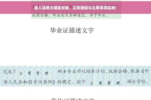 收入证明办理全攻略，正规途径与注意事项指南?