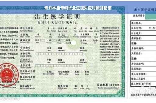 专升本后专科毕业证遗失应对策略指南