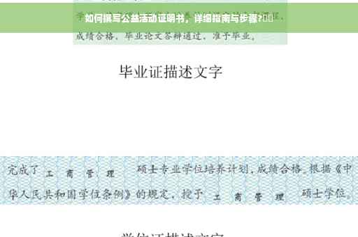 如何撰写公益活动证明书，详细指南与步骤?⚡️