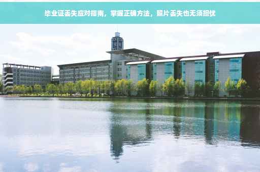 毕业证丢失应对指南，掌握正确方法，照片丢失也无须担忧