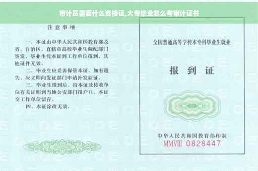 审计员需要什么资格证,大专毕业怎么考审计证书