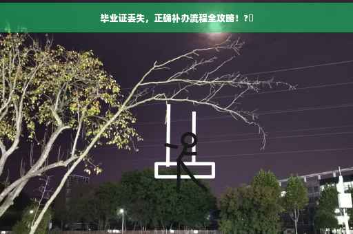 毕业证丢失，正确补办流程全攻略！?✨