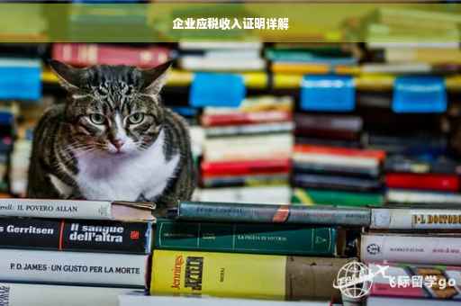 企业应税收入证明详解
