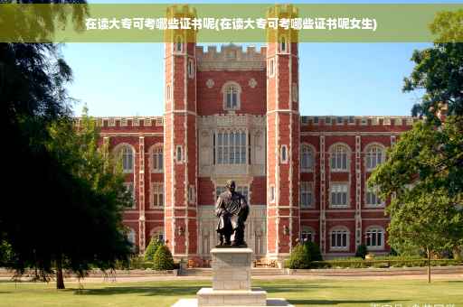 在读大专可考哪些证书呢(在读大专可考哪些证书呢女生)