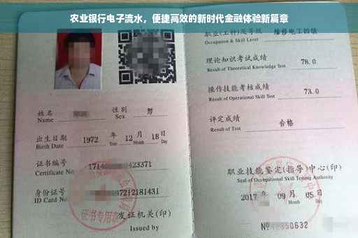 农业银行电子流水，便捷高效的新时代金融体验新篇章