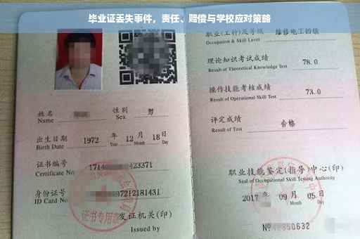 毕业证丢失事件，责任、赔偿与学校应对策略