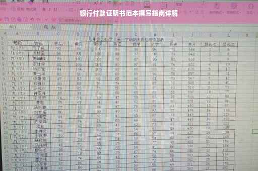 银行付款证明书范本撰写指南详解