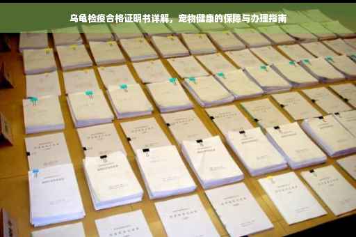 乌龟检疫合格证明书详解，宠物健康的保障与办理指南