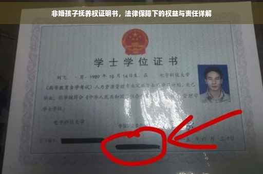 非婚孩子抚养权证明书，法律保障下的权益与责任详解