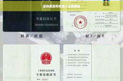 深圳滴滴司机收入证明模板