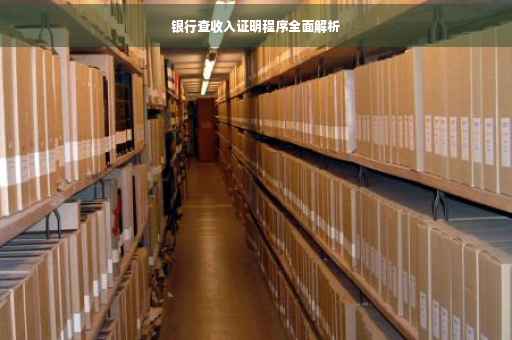 银行查收入证明程序全面解析