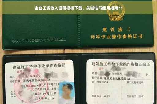企业工资收入证明模板下载，关键性与使用指南??