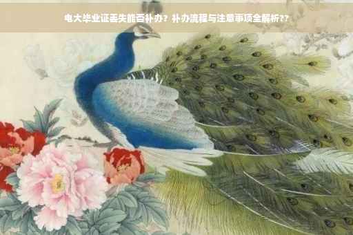 电大毕业证丢失能否补办？补办流程与注意事项全解析??