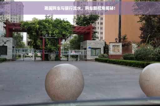 雅阁购车与银行流水，购车新视角揭秘！