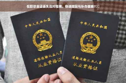 在职毕业证丢失应对指南，快速找回与补办策略?⚡️
