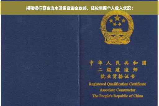 揭秘银行薪资流水明细查询全攻略，轻松掌握个人收入状况！