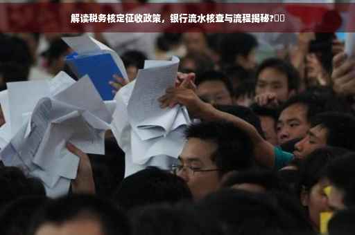 解读税务核定征收政策，银行流水核查与流程揭秘?⚡️