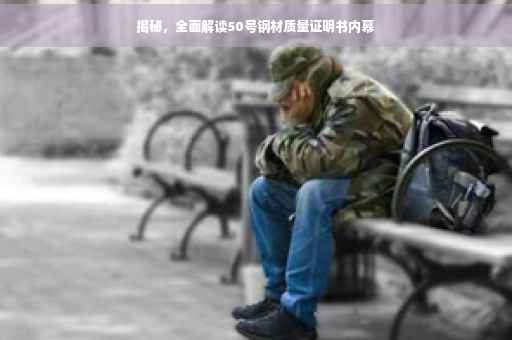 揭秘，全面解读50号钢材质量证明书内幕