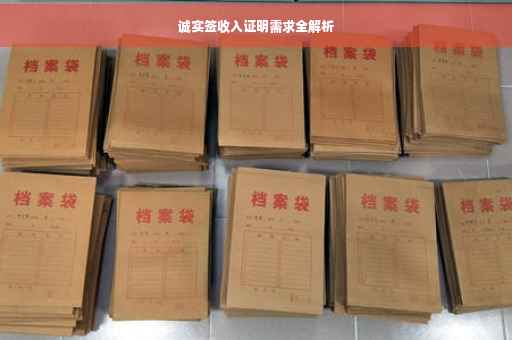 诚实签收入证明需求全解析