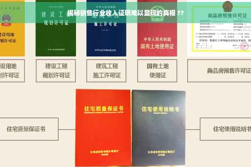 揭秘销售行业收入证明难以显现的真相 ??