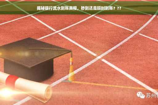 揭秘银行流水到账真相，秒到还是延时到账？??