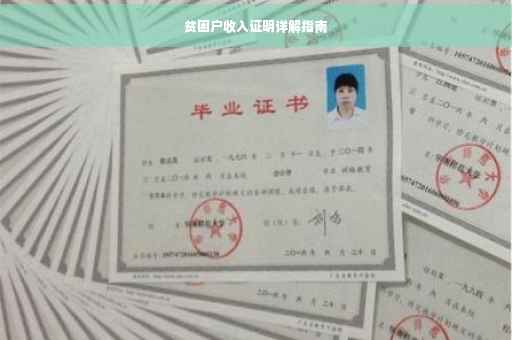 贫困户收入证明详解指南