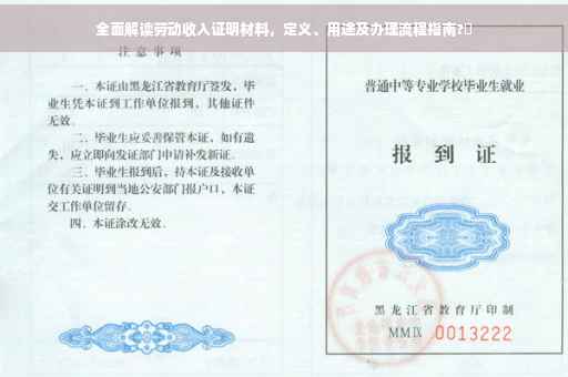 全面解读劳动收入证明材料，定义、用途及办理流程指南?✨