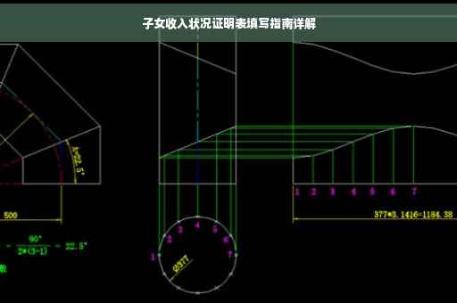 子女收入状况证明表填写指南详解