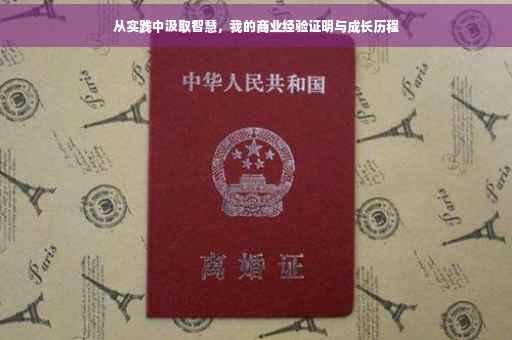从实践中汲取智慧，我的商业经验证明与成长历程
