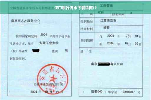 汉口银行流水下载指南??