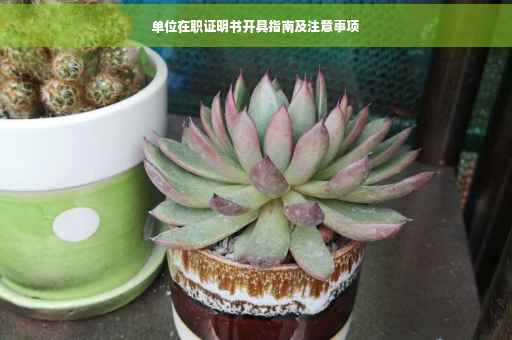 单位在职证明书开具指南及注意事项