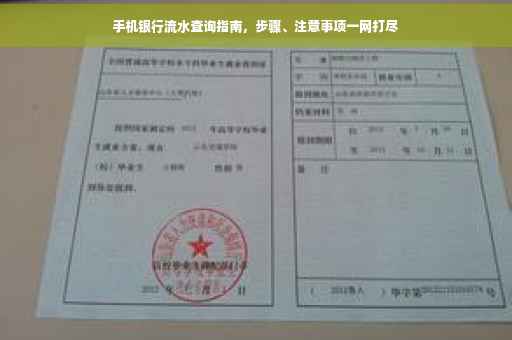 手机银行流水查询指南，步骤、注意事项一网打尽