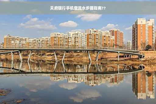 天府银行手机查流水步骤指南??