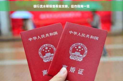 银行流水明细查看全攻略，操作指南一览