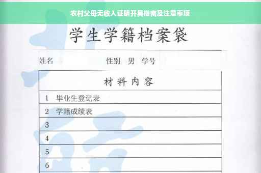 农村父母无收入证明开具指南及注意事项