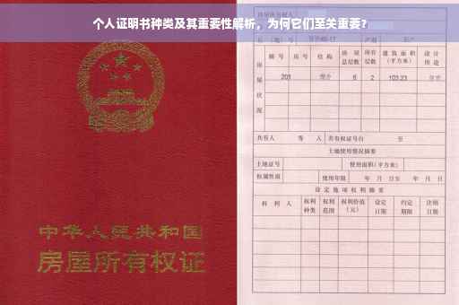 个人证明书种类及其重要性解析，为何它们至关重要？