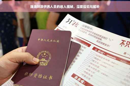 珠海财政供养人员的收入揭秘，深度探究与解析