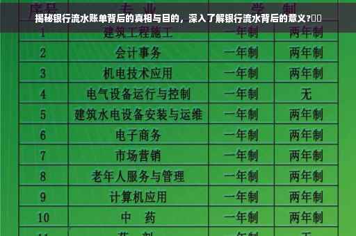 揭秘银行流水账单背后的真相与目的，深入了解银行流水背后的意义?⚡️