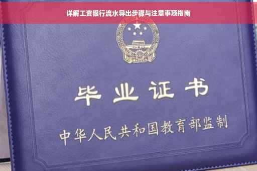 详解工资银行流水导出步骤与注意事项指南