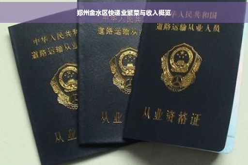郑州金水区快递业繁荣与收入概览