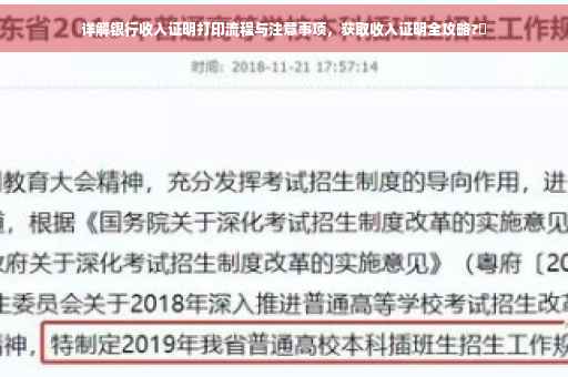 详解银行收入证明打印流程与注意事项，获取收入证明全攻略?✨