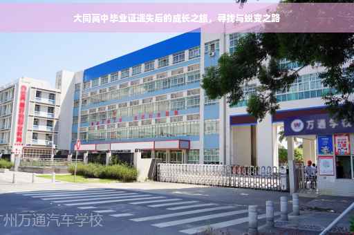 大同高中毕业证遗失后的成长之旅，寻找与蜕变之路