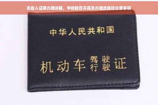 无收入证明办理详解，学校能否开具及办理流程和注意事项
