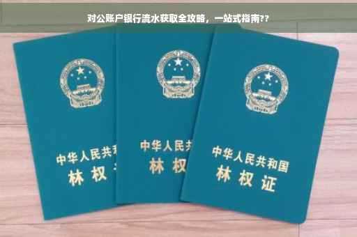 对公账户银行流水获取全攻略，一站式指南??