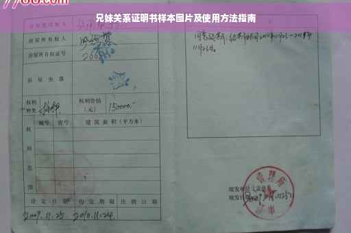 兄妹关系证明书样本图片及使用方法指南