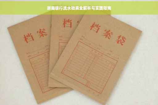 浙商银行流水验真全解析与实践指南