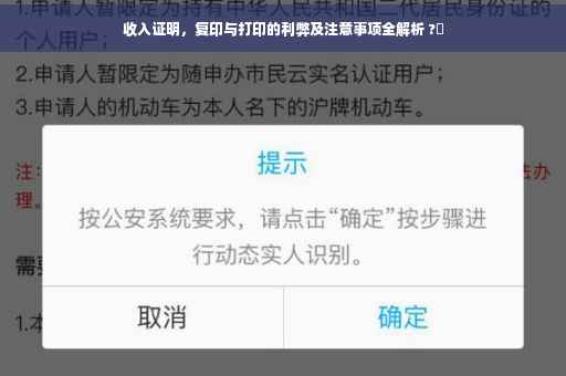 收入证明，复印与打印的利弊及注意事项全解析 ?✨