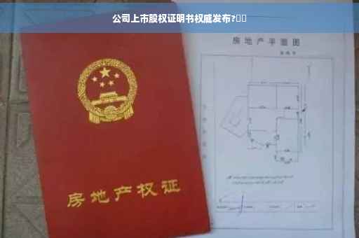 公司上市股权证明书权威发布?⚡️