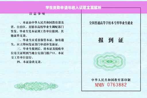 学生资助申请年收入证明全面解析