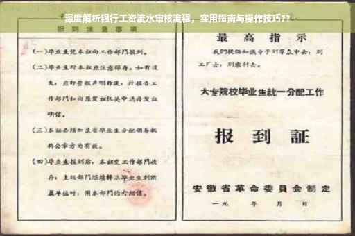 深度解析银行工资流水审核流程，实用指南与操作技巧??